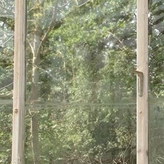 rengöring växthus rengöring växthus